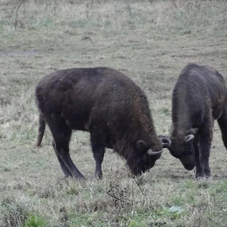 Agroturystyka Żywe Kruklanki Zewnętrze zdjęcie