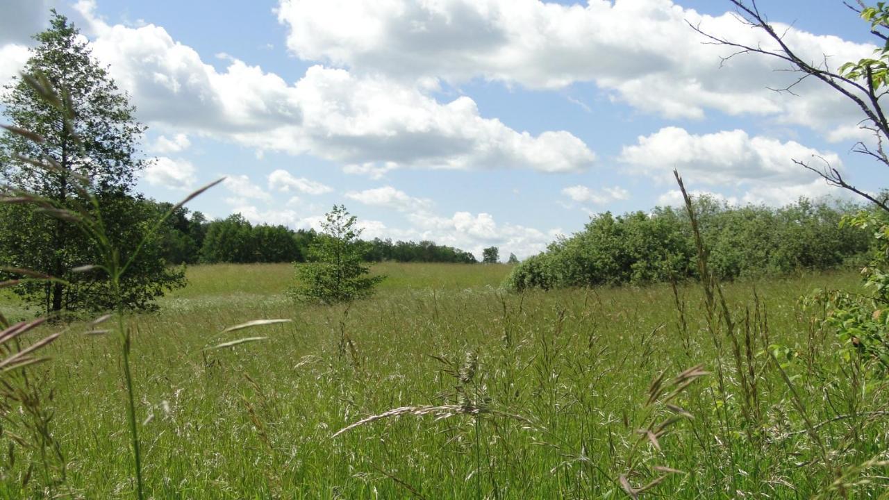 Agroturystyka Żywe Kruklanki Zewnętrze zdjęcie