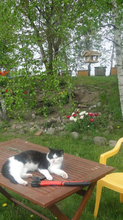 Agroturystyka Żywe Kruklanki Zewnętrze zdjęcie