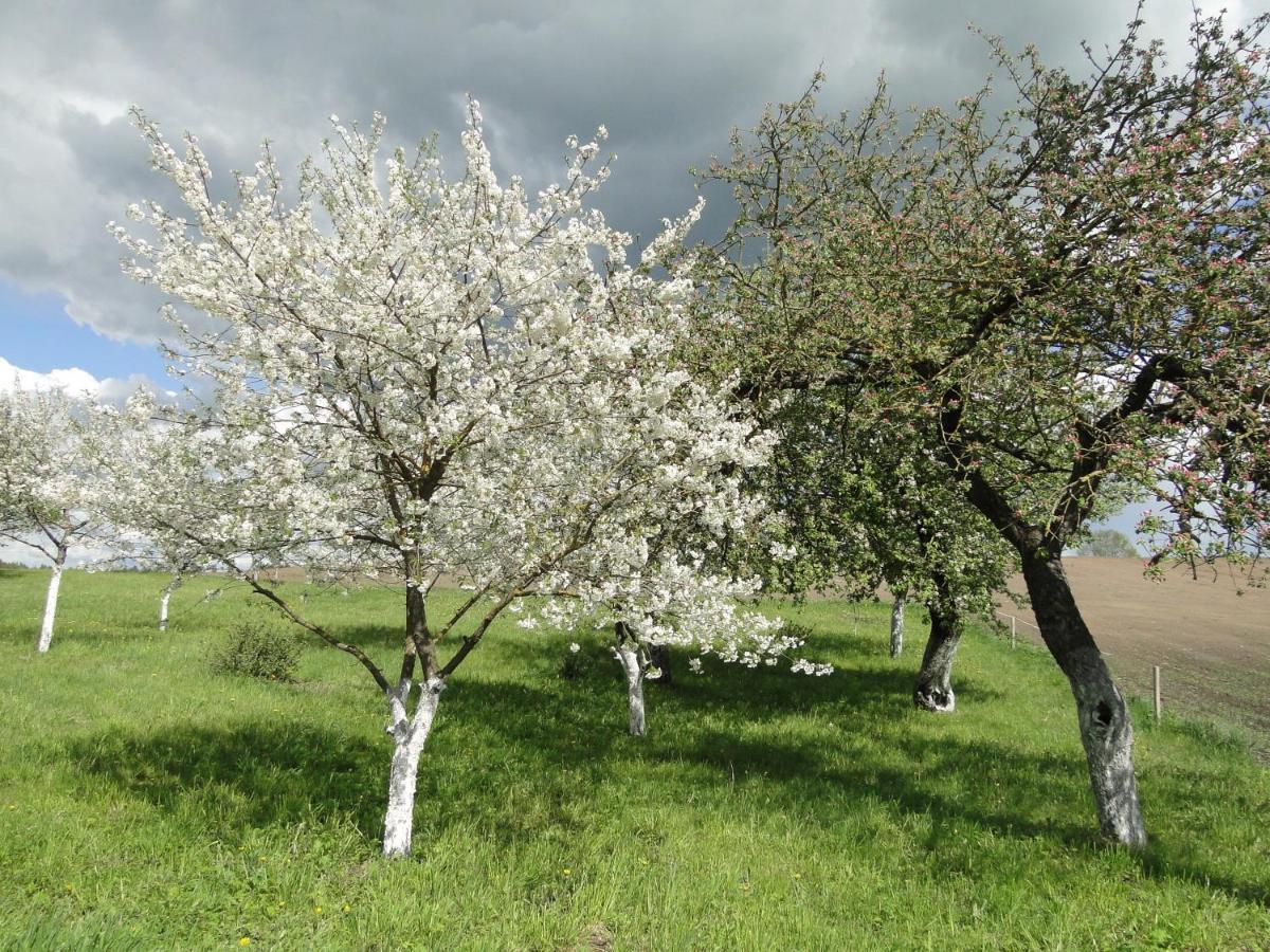 Agroturystyka Żywe Kruklanki Zewnętrze zdjęcie