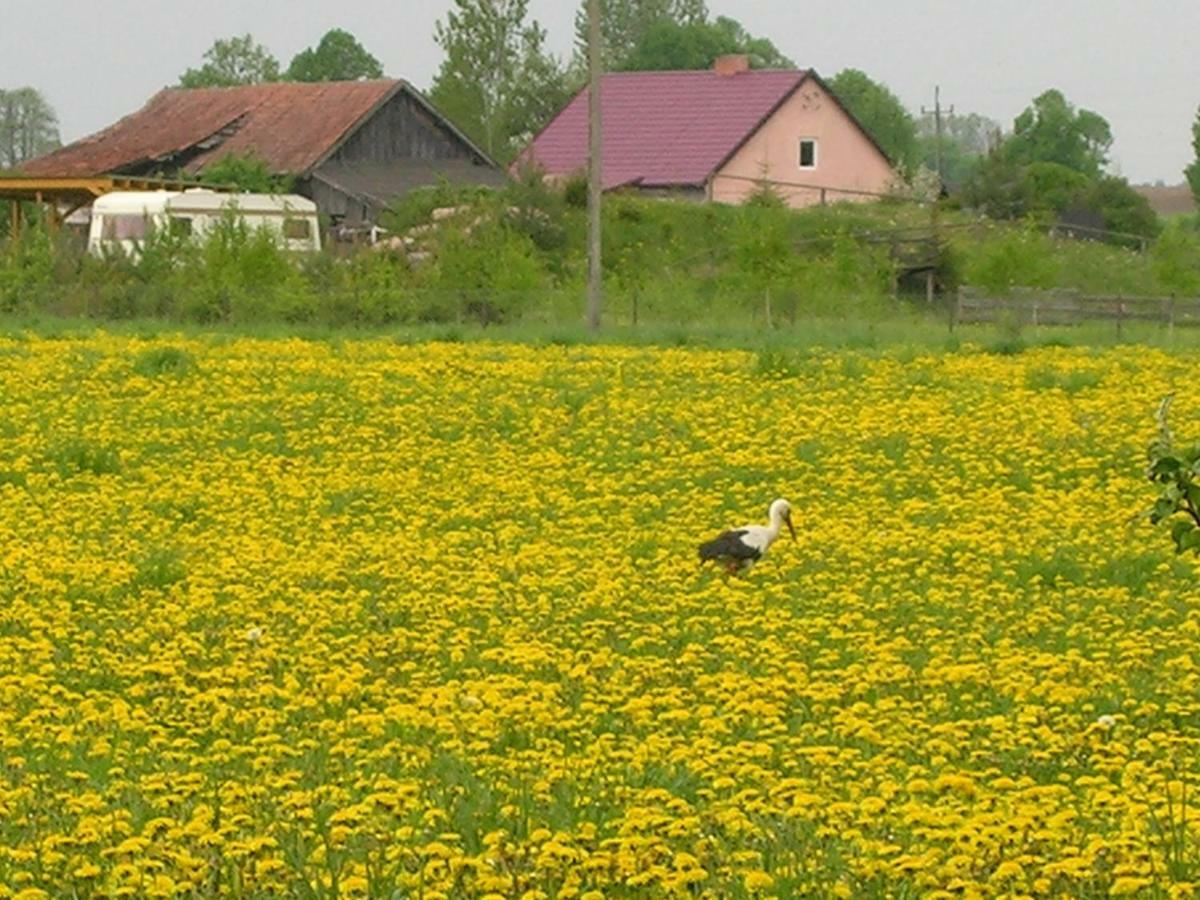 Agroturystyka Żywe Kruklanki Zewnętrze zdjęcie